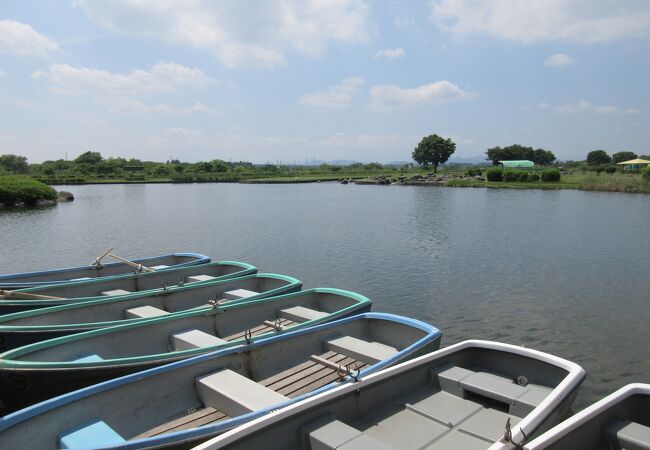 四季の花と野鳥が訪れる広大な公園に、ボート池、貸し自転車、ローラースケート、アスレチックまで揃っています