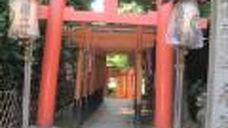 赤い鳥居が続いています、御利益は恋愛成就！