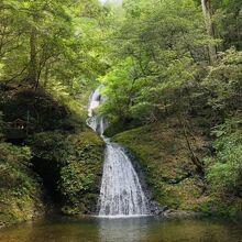 阿寺の七滝