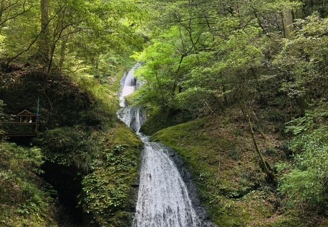 阿寺の七滝