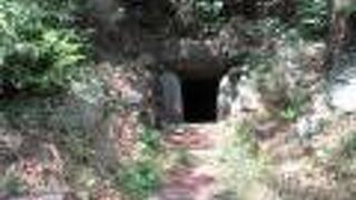 コウモリにギョッ