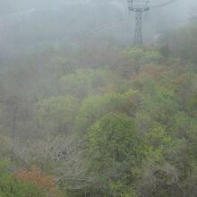 有珠山山麓の森の様子