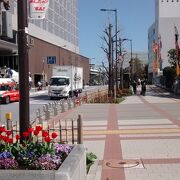 チューリップなどの鮮やかな花々がていねいに植えられている