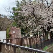 地味なんですが地域に溶け込んだ中規模公園