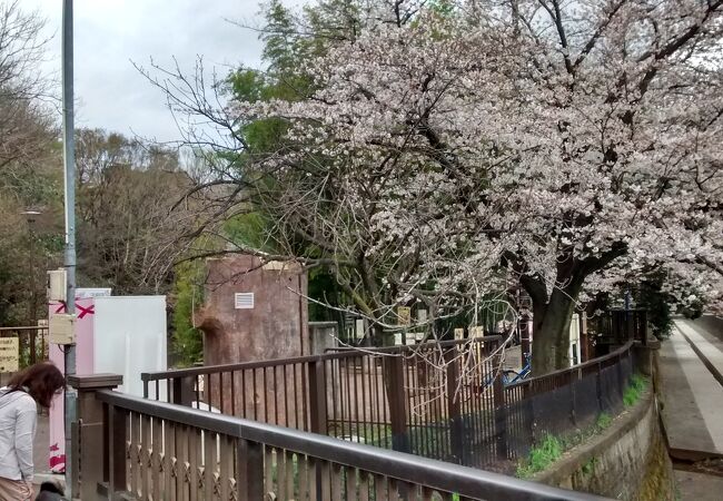 地味なんですが地域に溶け込んだ中規模公園