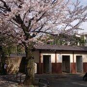 公衆トイレも完備でありがたいです。