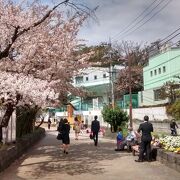 地域住民の献身的な世話が緑道をきれいに保っているんですよ。