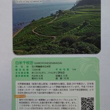 白米千枚田の棚田カード