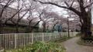 添付写真は、高井戸駅近辺で、超おすすめ