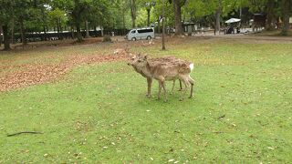 見どころがたくさん