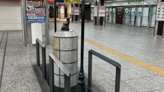 モデルになった子は日本で亡くなったらしい！