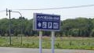 時期が早いのかなあ、花は少し咲いていました。