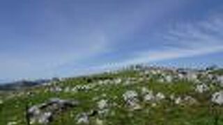 四国カルストの絶景ポイント