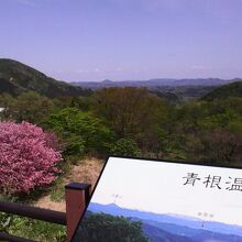 見晴台にて。4月末で山肌には八重桜などが華を添えてました