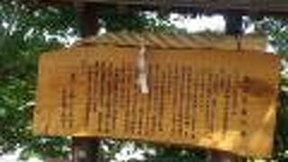 変わらずおからどーなつが好きです。