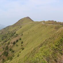 道端からの展望