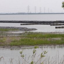 北浦湖畔の風景