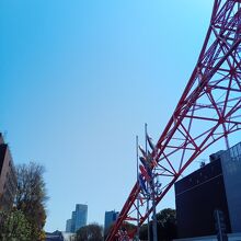 東京タワーの鯉のぼり