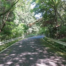 平山城ですから、上り坂です