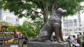 目まぐるしくかわる渋谷のなかで・・