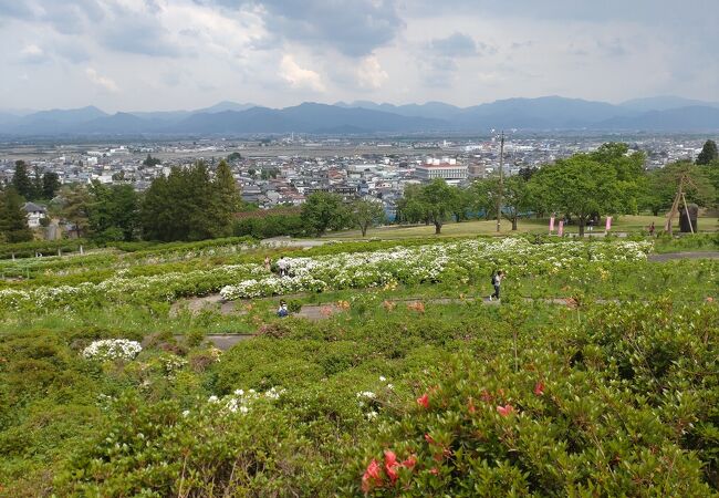 つつじは見ごろを過ぎていましたが