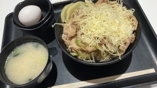 伝説のすた丼屋 ダイバーシティ東京プラザ店