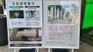 無料の写真ギャラリー