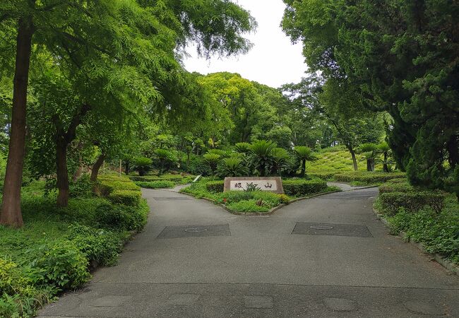 緑一杯の公園。