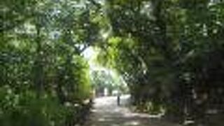 展望台まで歩いて登れる