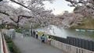 ガラガラでした。