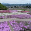 堀之内インターに隣接する「芝桜公園」