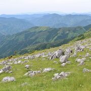 四国カルストで最も景観が素晴らしい　石灰岩が左右に広がる「天空の道」を疾走