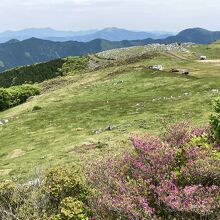 遠くに石鎚山を望む