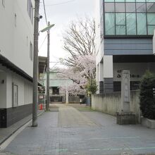 １ボロ市通りから正面入口