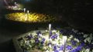 夜間のライトアップも素敵でした