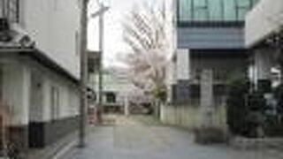 ボロ市の時は賑やかなところです桜が満開でした