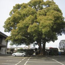 乗泉寺 世田谷別院