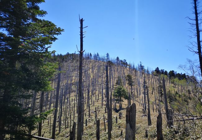 日本一名前の長い山にして秀麗富嶽十二景二番山頂の山