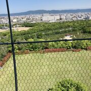 大阪城公園は特別史跡です。