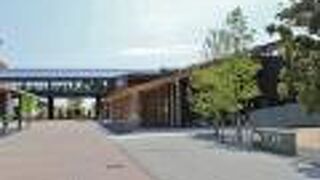 しらす食堂が大人気