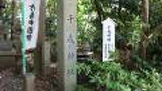 竹島のパワースポット