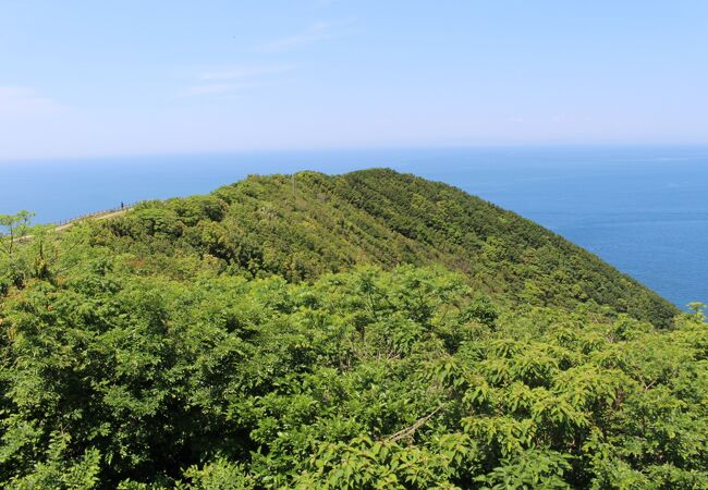 岬としての景観は物足りない