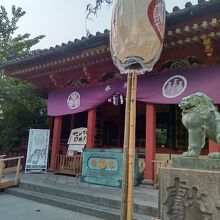 三社祭の日の浅草神社