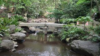 滝は止まっていました。