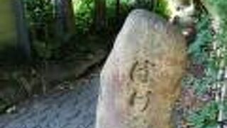 緑ゆたかな小道