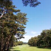 紫雲ゴルフ倶楽部 新潟県下でも指折りの名門