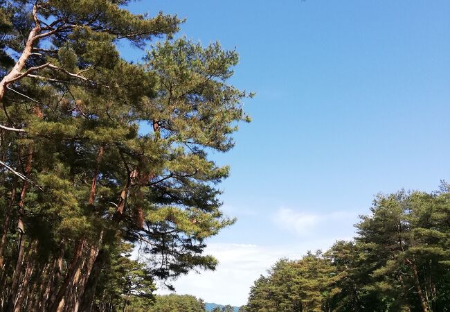 紫雲ゴルフ倶楽部 新潟県下でも指折りの名門