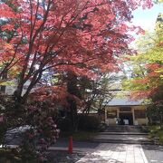 春なのに紅葉の庭