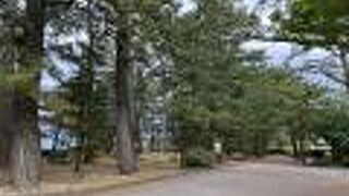 割とこじんまりしています