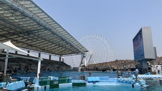 私的、ナンバーワン水族館♪